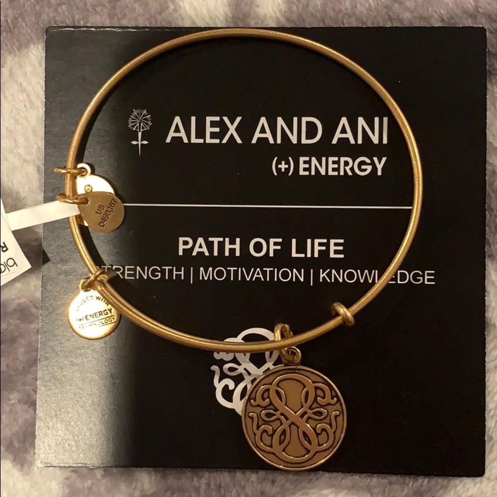 ALEX & ANI path of life charm bangle